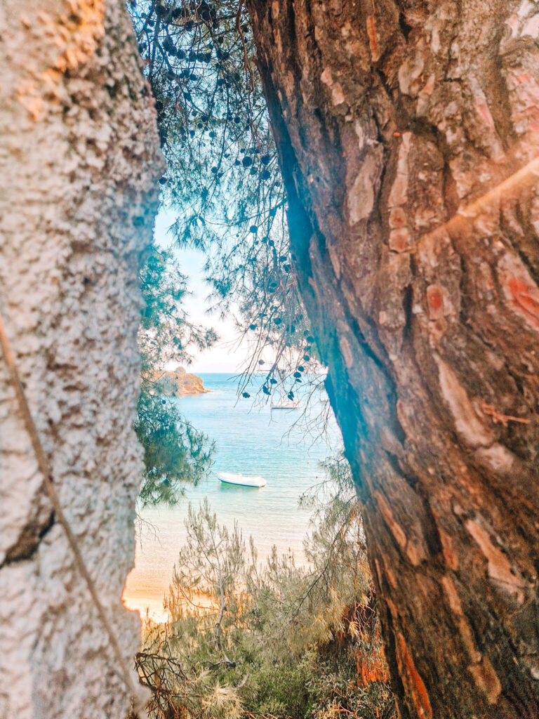 Beach on Skiathos seen through a gap in trees