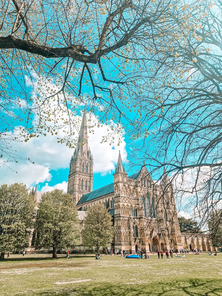 Salisbur cathedral, seen between the branches of trees