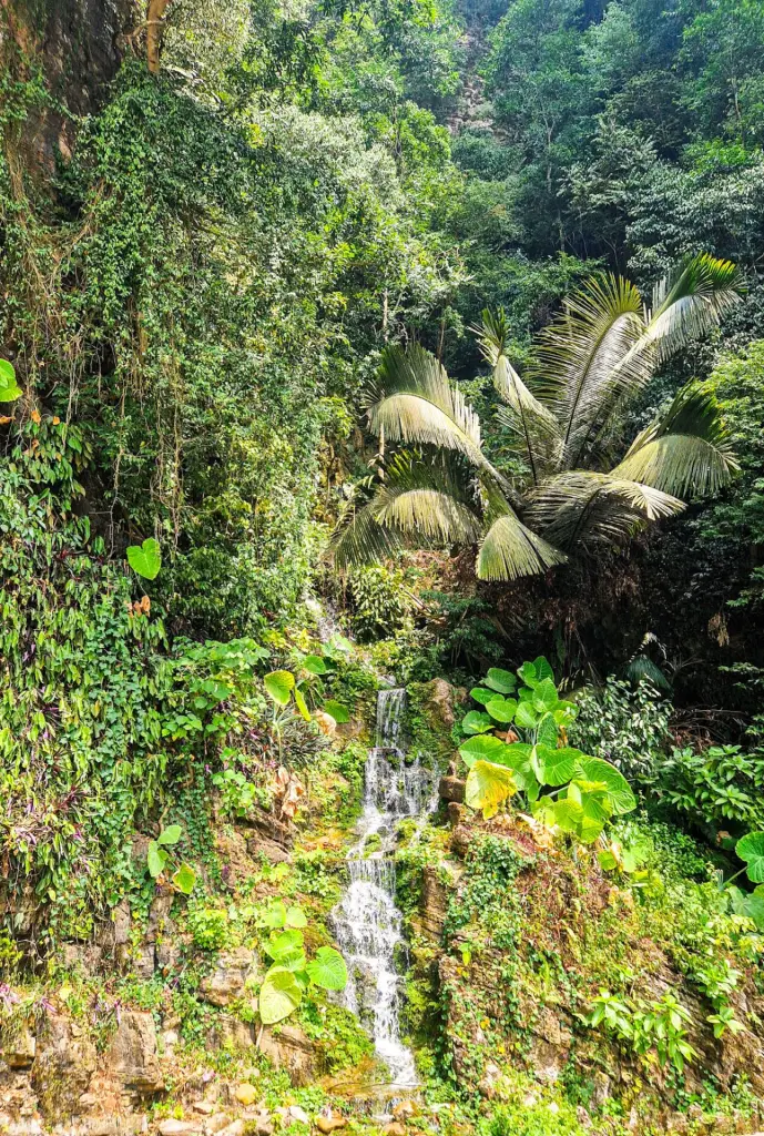 Waterfall at Kek Look Tong temple