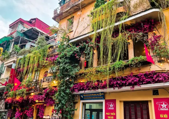 Yellow house with trailing plants, Hanoi