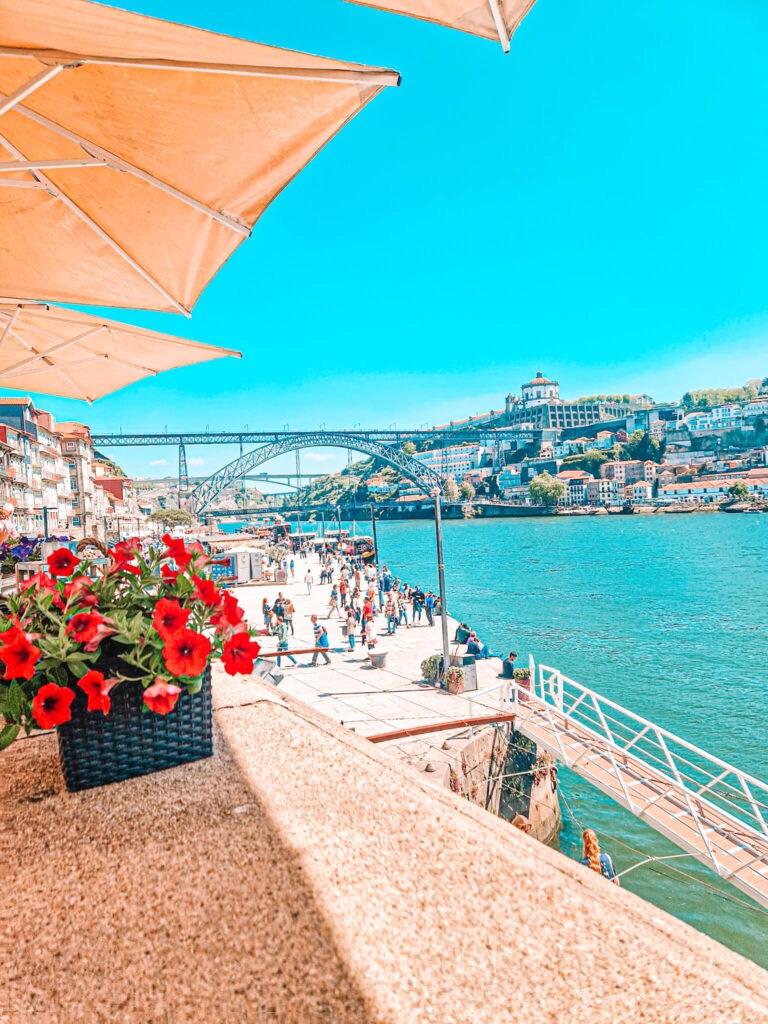 View of Douro river frmo a wall with flowers