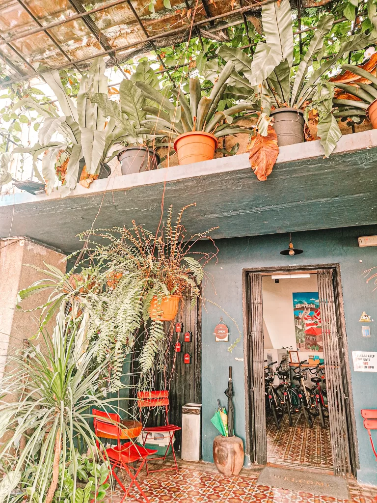 Plants surronding a doorway to a hostel