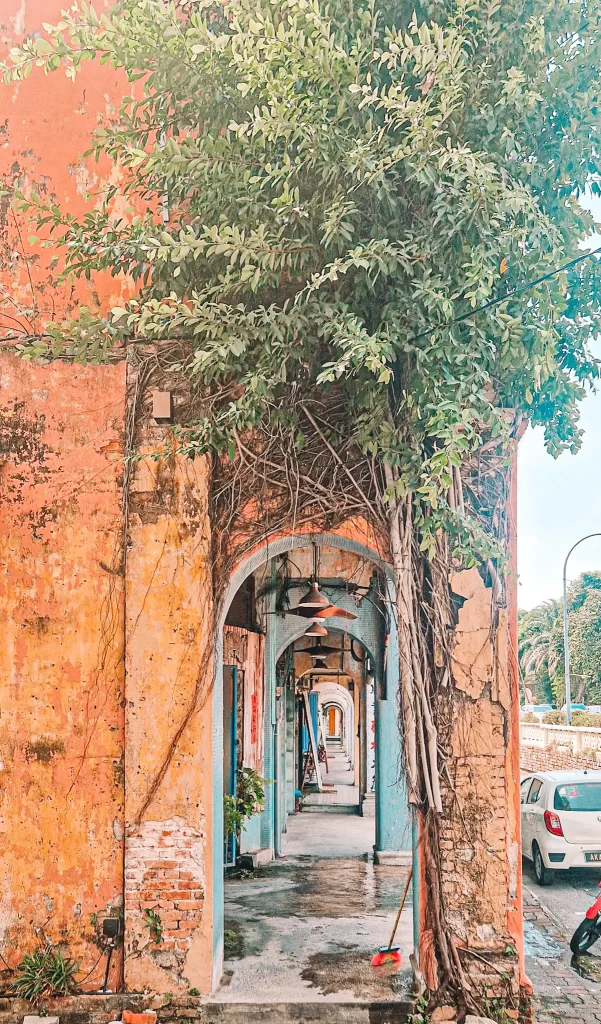 archway on street in Ipoh with tree overhanging and crumbling walls