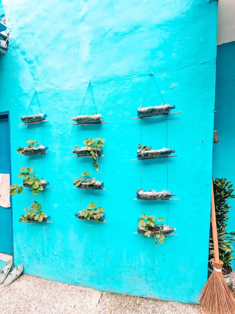 A turquoise wall features a DIY vertical garden made from repurposed plastic bottles. The bottles are suspended on thin ropes, with green leafy plants sprouting from them. A traditional broom leans against the wall on the right side.