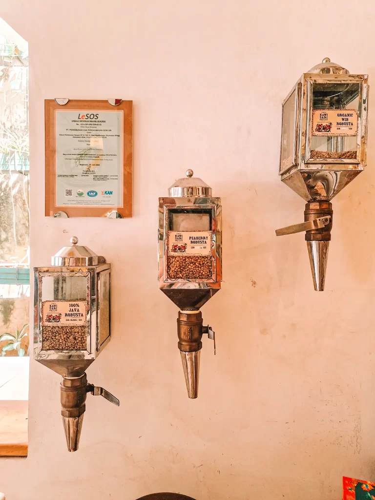 Three vintage-style metal coffee dispensers are mounted on a white wall. Each container is labeled with different types of coffee beans, including "100% Java Robusta," "Peaberry Robusta," and "Organic Wild Robusta." A framed certification hangs to the left.