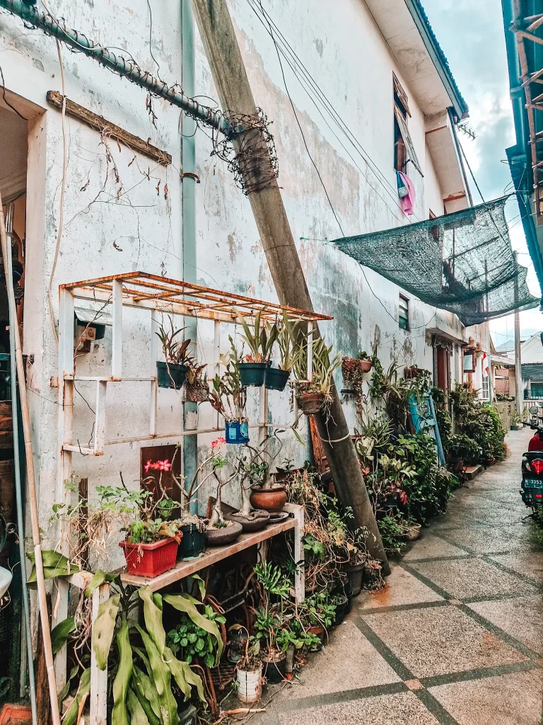 A narrow alleyway is lined with lush potted plants on wooden shelves against a weathered white wall. A slanted wooden pole with barbed wire leans against the building, and a black scooter is parked further down the path.