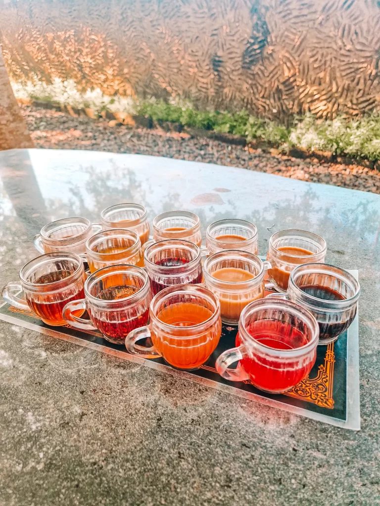 A tray of twelve small glass cups filled with different types of tea and coffee sits on a reflective table. The vibrant colors range from deep reds and purples to creamy browns and golden hues, suggesting a tasting experience of various flavors. The background features a textured wall and greenery, creating a serene café or tea plantation setting.