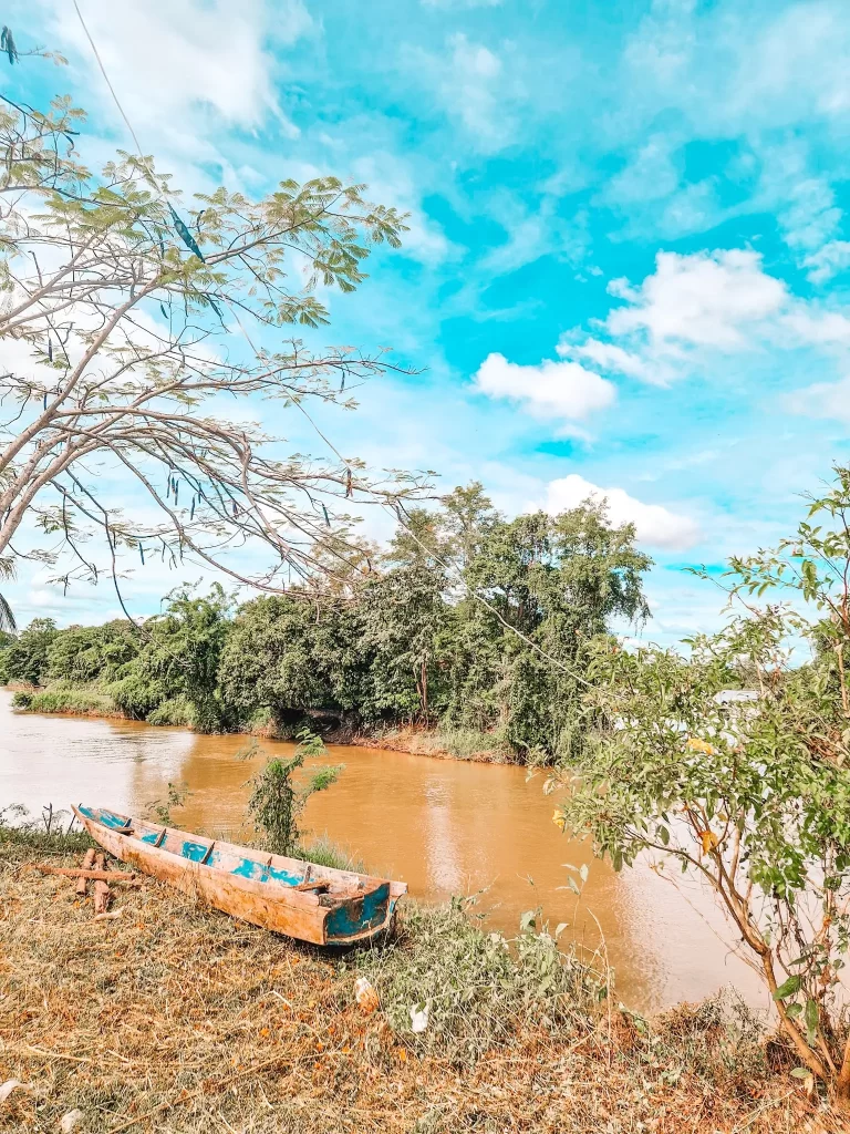 A rustic wooden canoe with peeling blue paint rests on the grassy riverbank. The river flows gently, lined with thick green foliage and trees under a vibrant blue sky with wispy clouds. A leafless tree branch extends into the frame, adding a touch of contrast.