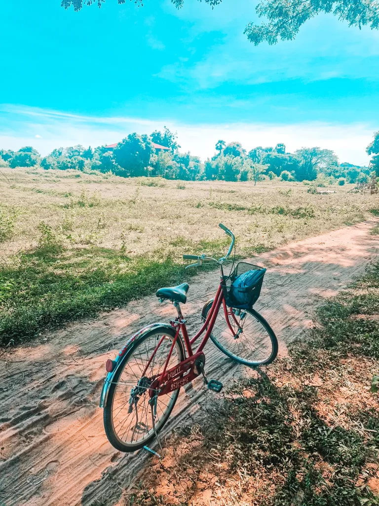 A red bicycle with a basket leans on its stand along a dusty, unpaved path. The background features an open grassy field with scattered trees and a red-roofed house in the distance under a bright blue sky.