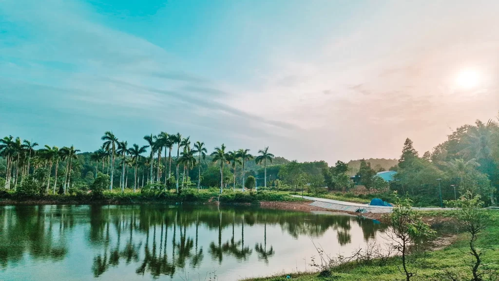Sunset over a palm-lined lake with golden reflections on the water, offering a tranquil scene perfect for ending a busy day during 2 days in Hue.