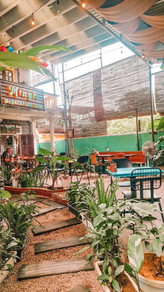 Outdoor seating at Mingle Vegetarian Café in Hue, Vietnam, with vibrant greenery and a cozy, open-air setup—perfect for relaxing during your 2 days in Hue.