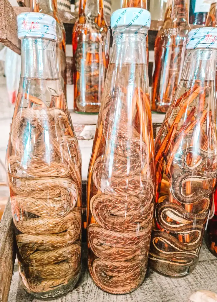 Bottles of snake-infused liquor displayed at the whiskey village in Luang Prabang, a curious and bold souvenir among the best things to do in Luang Prabang for adventurous travelers.