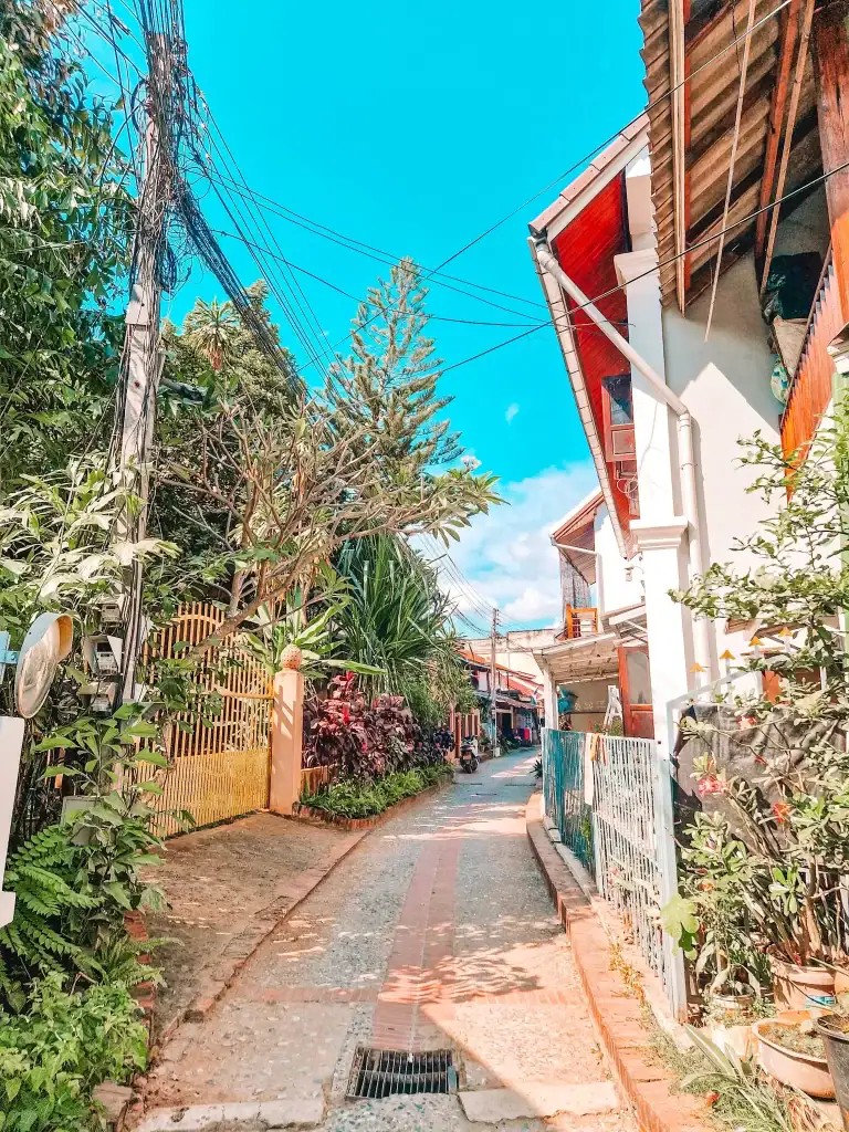 A charming alleyway in Luang Prabang lined with tropical plants and local homes, offering a peaceful walk that's one of the best things to do in Luang Prabang.