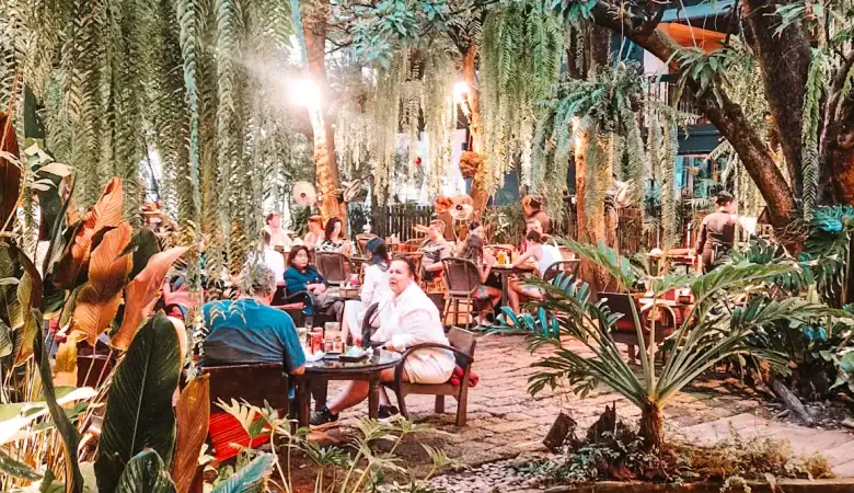 A vibrant, leafy outdoor scene at Fern Café, one of the best cafes in Chiang Mai, filled with greenery and hanging plants, where people are seated at tables enjoying drinks and conversation under a canopy of trees and soft lights.