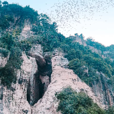 The 7 Best Day Trips from Da Nang and Hoi An (Tried & Tested in 2025)
