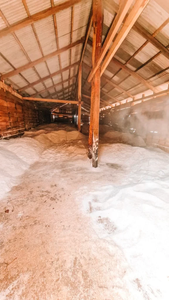 Interior of a rustic salt warehouse in Kampot, filled with mounds of harvested sea salt under a wooden roof, with sunlight streaming through the gaps. A fascinating stop for learning about local production during 2 days in Kampot.