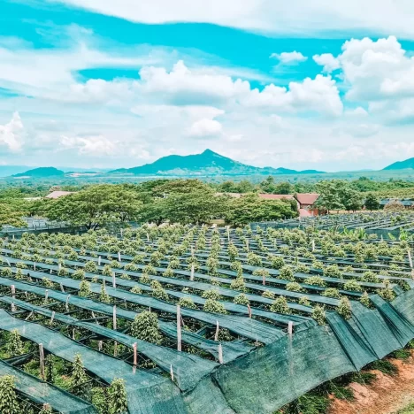 My Proven 10 Day Central Vietnam Itinerary for First-Time Visitors: Hoi An, Hue and Da Nang