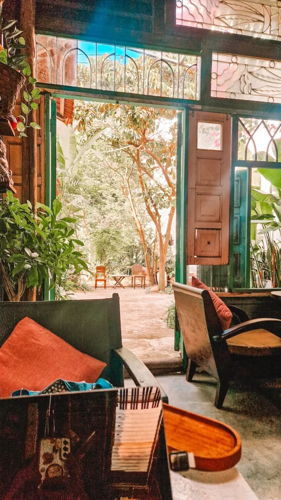 A view from a cozy armchair near an open door, looking out onto a leafy courtyard filled with trees and plants. The warm indoor tones contrast beautifully with the green garden and sunlight outside.