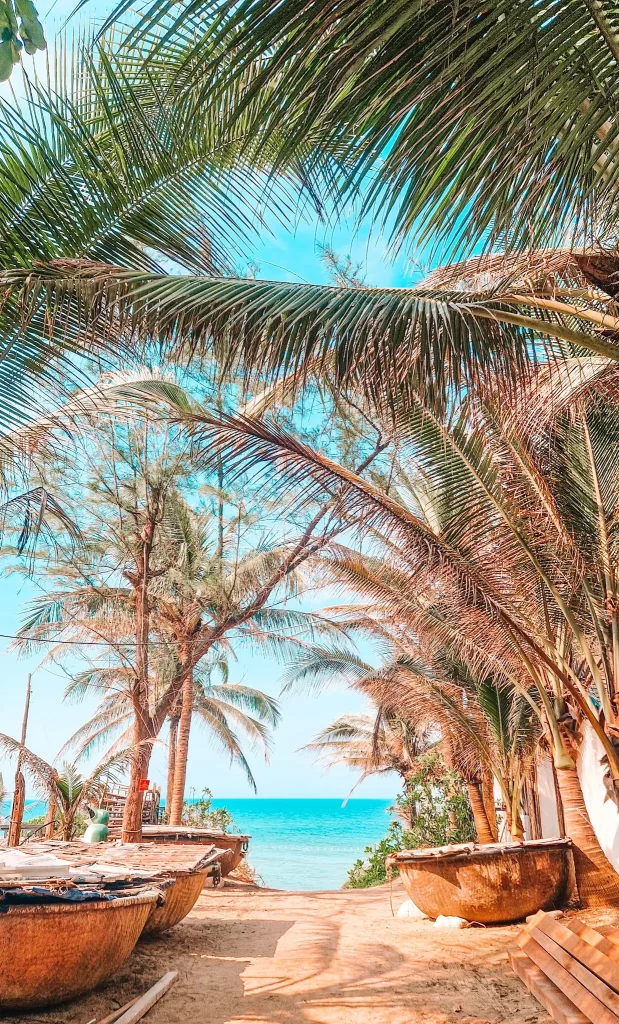 A sandy path lined with palm trees leading to a turquoise beach, with round bamboo fishing boats typical of Vietnam—an inviting stop on coastal day trips from Hoi An.