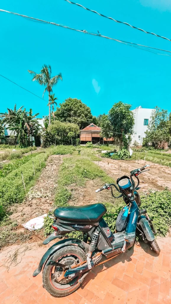 A black motorbike parked beside a small organic vegetable garden in a rural village, showcasing the charm of countryside life on eco-friendly day trips from Hoi An.