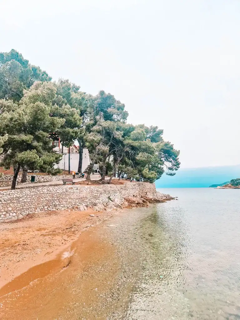 A stone-paved path lined with benches and tall pine trees curves along the clear shoreline of Skiathos Town, perfect for a scenic seaside stroll—one of the laid-back things to do in Skiathos.