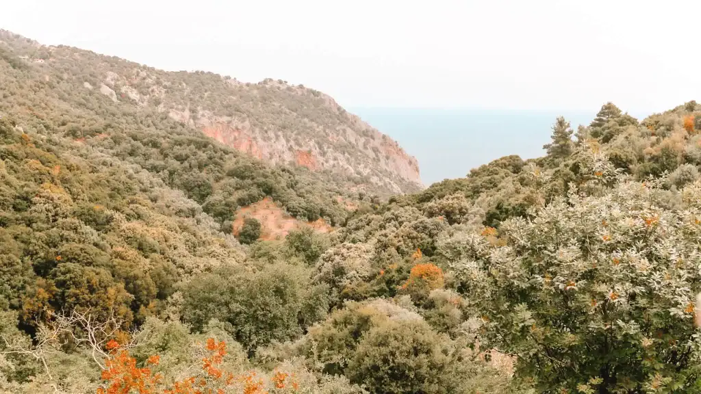A panoramic view of dense green forest and rocky cliffs leads toward the Aegean Sea, taken from high above at Evangelistria Monastery—one of the scenic and peaceful things to do in Skiathos.