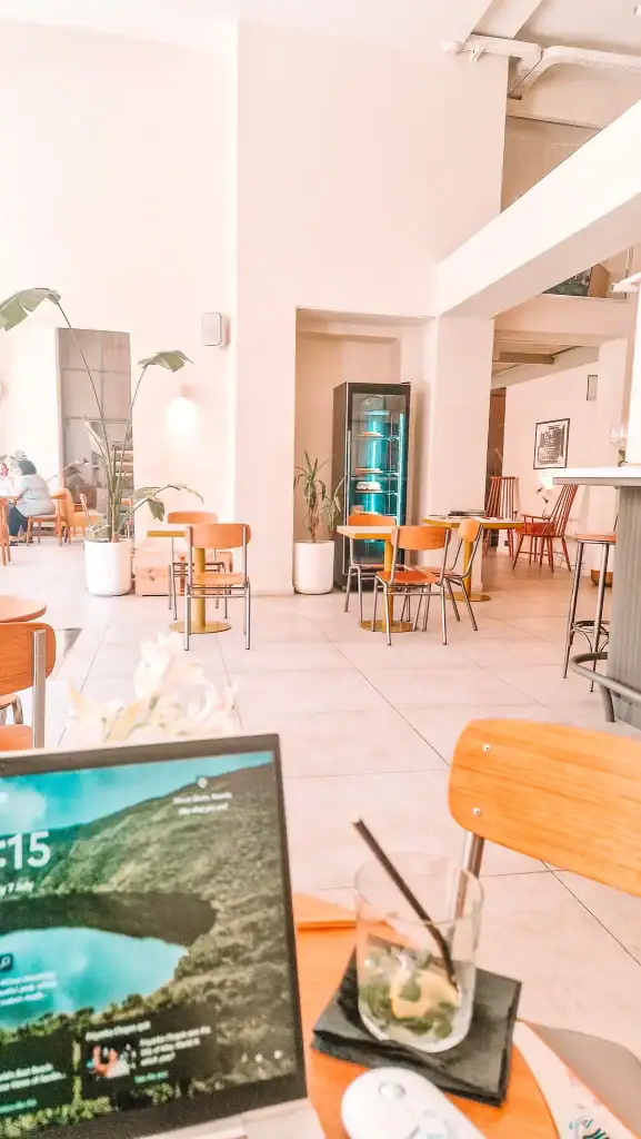 Minimalist and airy café setting at Destil Creative Hub in Tirana, with light wood furniture, potted plants, and a sleek pastry fridge glowing in the background. It offers a serene, spacious vibe perfect for working or relaxing.