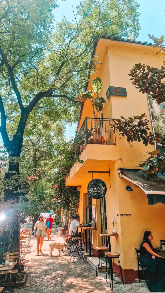 Street view of Hana Café in Tirana, with people enjoying coffee at high stools under the shade of trees. A dog sniffs the cobblestone walkway, adding to the laid-back neighborhood vibe of this popular local spot.