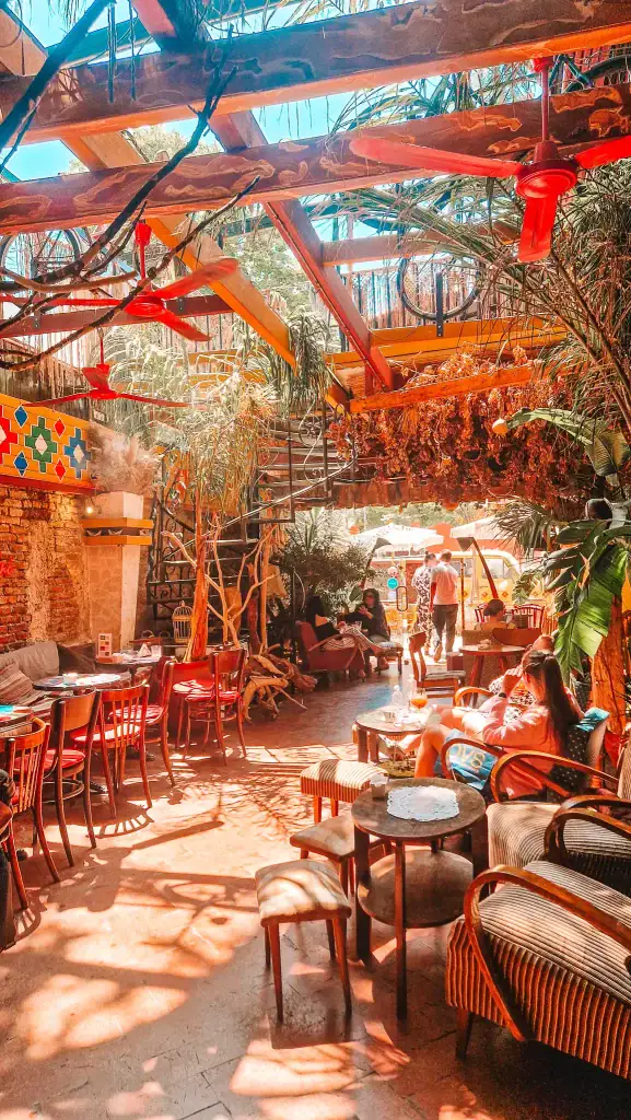 Outdoor seating area of Komiteti Café in Tirana, where sunlight streams through wooden beams and hanging plants. Red ceiling fans and rustic furniture complete the bohemian courtyard vibe that makes this one of the standout cafés in Tirana.