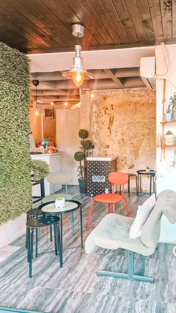 Cozy and stylish interior of a Skopje café with modern chairs, small tables, a textured wall, potted plants, and a freezer labeled “Scoop” near the counter.