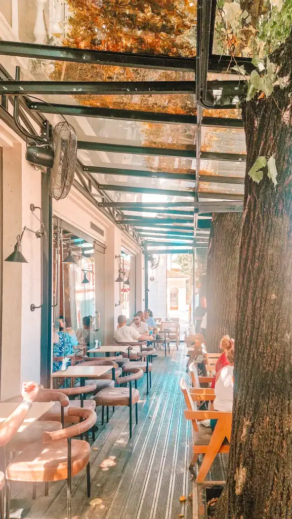 People sit at small tables under a glass canopy at a shaded outdoor café in Shkoder, with large trees growing through the wooden deck and sunlight filtering through autumn-toned leaves.