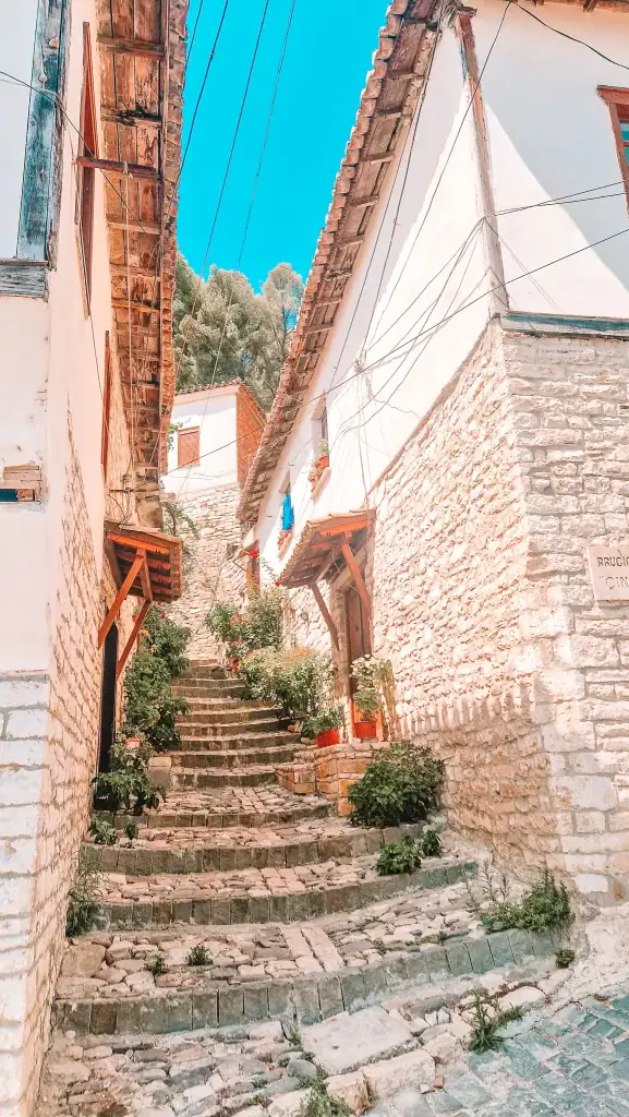 Narrow cobblestone steps lined with potted plants lead uphill between whitewashed stone houses with wooden roofs in Berat, Albania, under a bright blue sky.