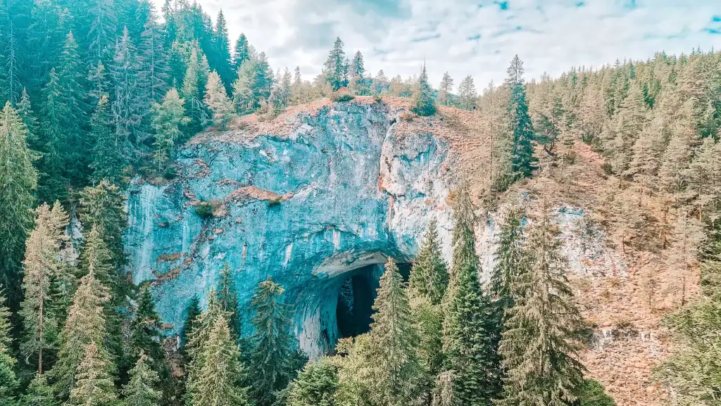 Panoramic view of the natural rock arch at the Wonderful Bridges, surrounded by dense pine forest.
