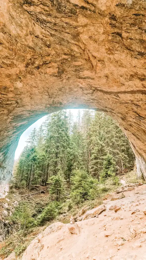 View from beneath the natural stone arch of the Wonderful Bridges, looking out to the pine forest in the Rhodope Mountains.