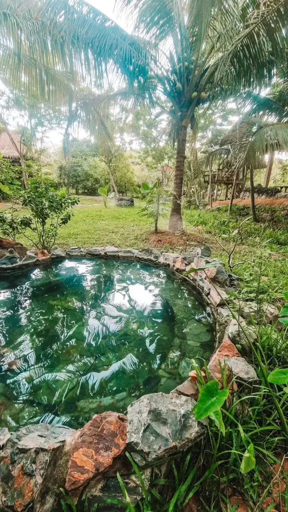 A small stone-lined pool of clear water set in a tropical garden with coconut palms and thatched huts, creating a peaceful retreat in rural Cambodia.