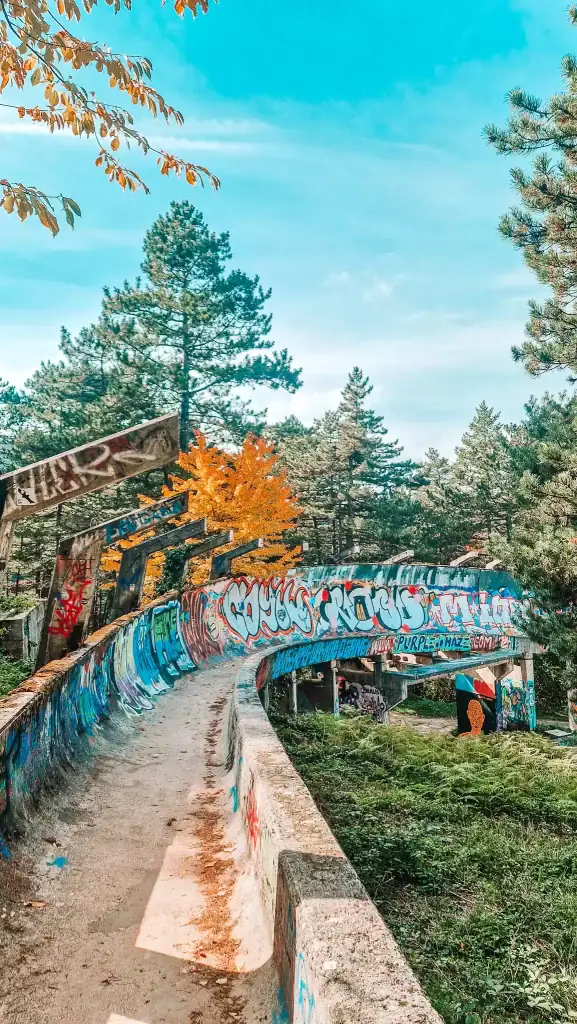 An abandoned bobsled track from the 1984 Winter Olympics winds through a forest, now covered in vibrant graffiti. A splash of autumn leaves adds colour to the once icy sports venue, now a popular offbeat stop.