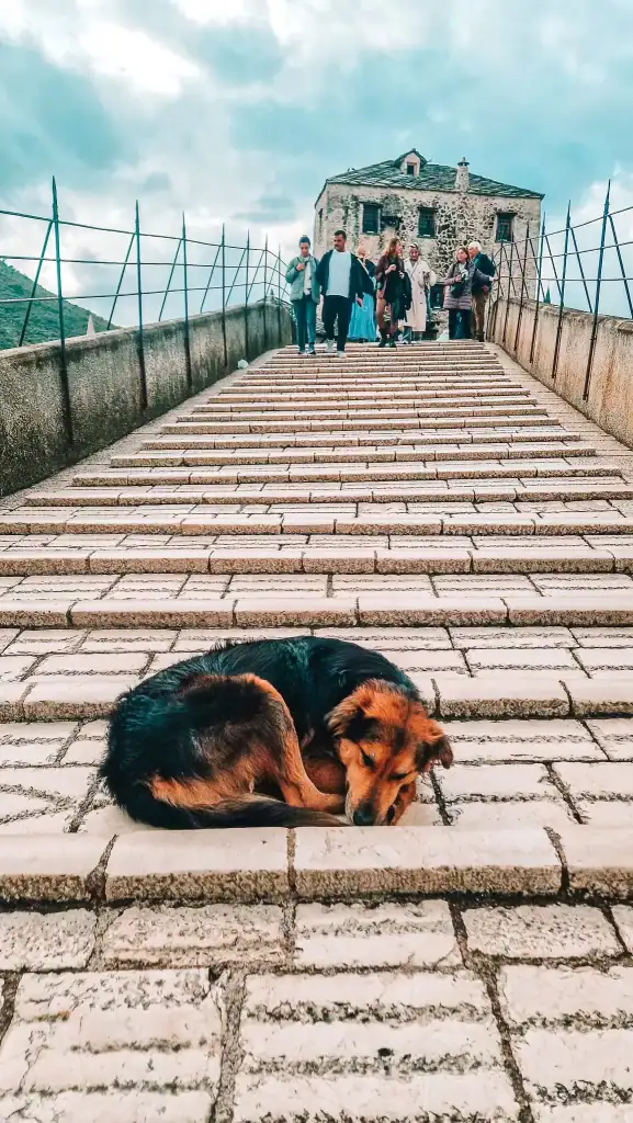 A dog sleeps peacefully on the steps of Stari Most while visitors cross the historic arched bridge behind it. This iconic site and its laid-back moments are part of the everyday magic when exploring things to do in Mostar.