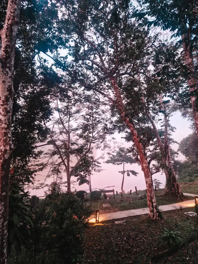 Misty jungle clearing in Borneo at dusk with soft ground lighting, highlighting a serene but mosquito-prone setting where bug spray is essential.