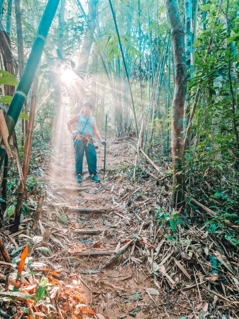 Em stands on a dirt trail through dense bamboo forest with sunlight beaming through the trees, holding a walking stick on a jungle hike. A scenic trekking experience typical of a 2 week north Laos itinerary.