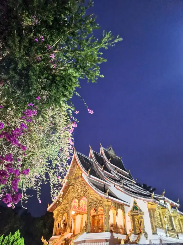 An ornate golden Buddhist temple in Luang Prabang glows warmly under night skies, framed by blooming bougainvillaea and leafy green branches.