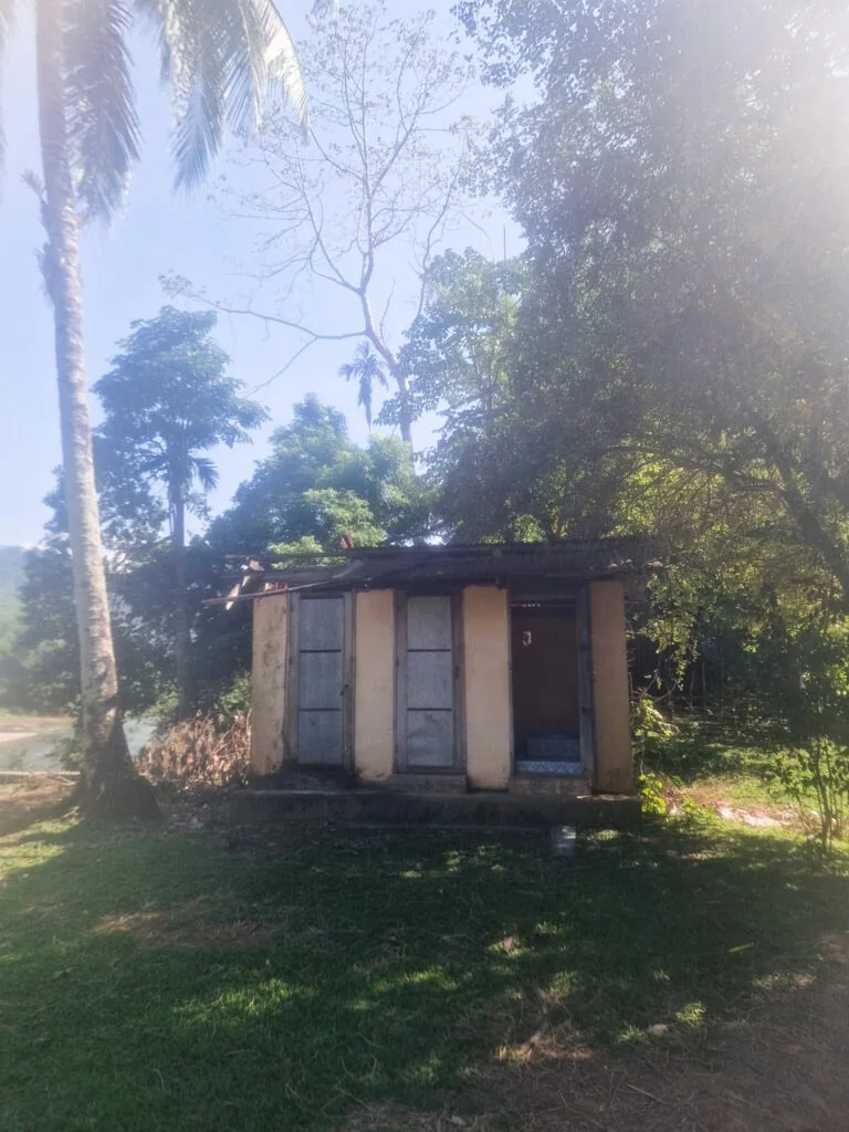A weathered concrete toilet block with three metal doors stands in a grassy clearing, partially shaded by palm trees and overgrown jungle.